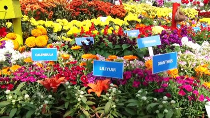 Od_Bh-15_Bhubaneshwar_Flower_Inaguration_15-08-56