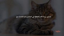 تفسير رؤية كلام القطط في المنام وحلم التحدث مع قطة