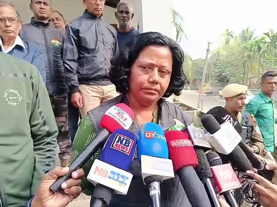 Minister and Director KNP on Tiger Overview at Kaliabor - video Dailymotion