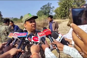 खेतो की बाढ़ में फसी मादा तेंदुआ