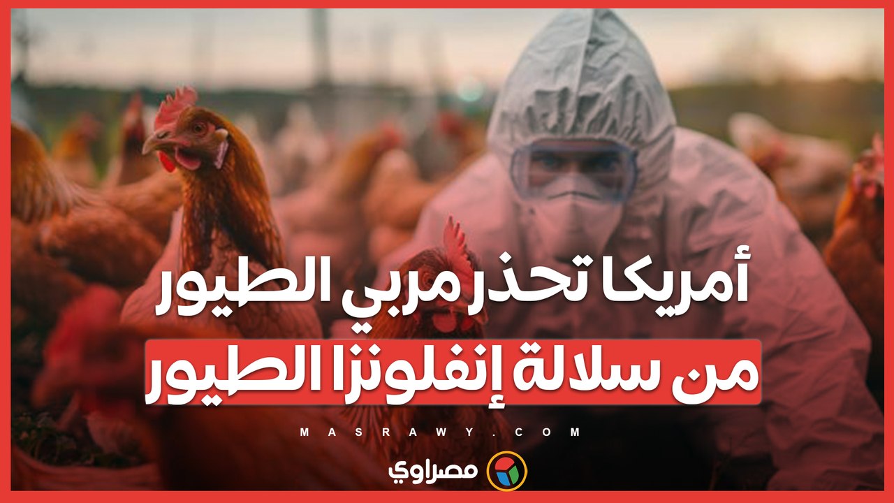 بعد أول وفاة بشرية ..  أمريكا تحذر مربي الطيور من سلالة إنفلونزا الطيور D1.1