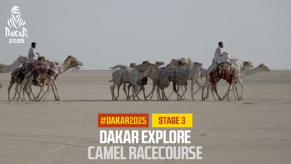 Dakar 2025: Discover the Excitement at the Camel Racecourse 🐪