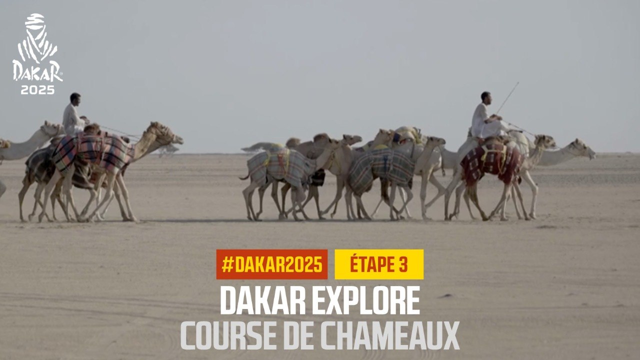 Dakar Explore: Course de chameaux - #Dakar2025