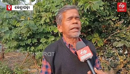 ଅଲିଭ ରିଡଲେ କଇଁଛ ଅଣ୍ଡାଦାନ ପାଇଁ ସୁରକ୍ଷା କ୍ୟାମ୍ପ, ସାବାଡ଼ ହେବେ ଅମାନିଆ ଟ୍ରଲର