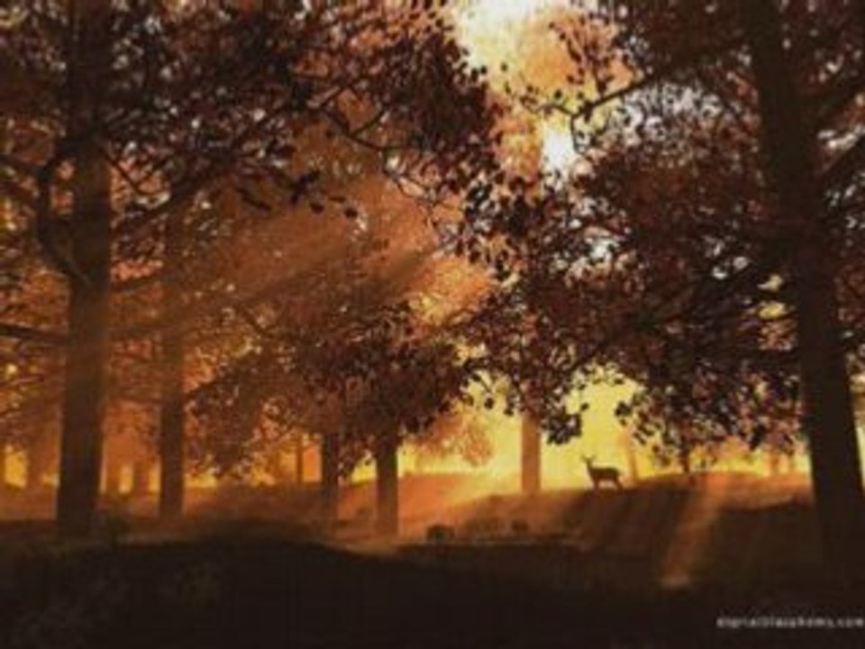 Dornenreich - Reime faucht der Märchensarg