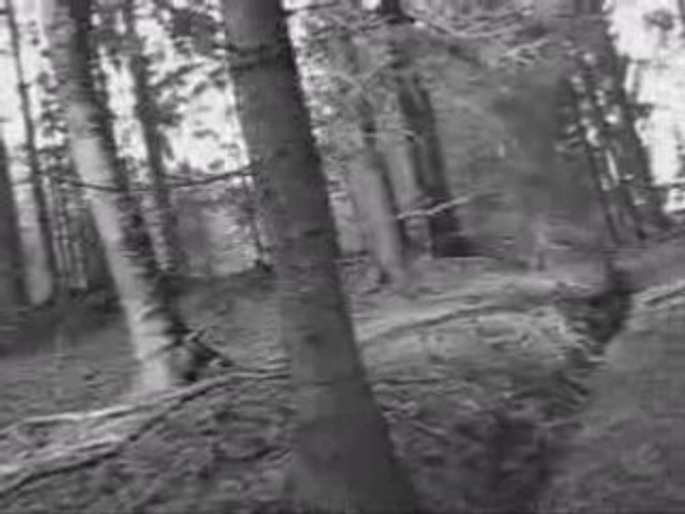 Dornenreich - Eigenwach