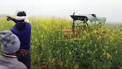 भूमाफियाओं के खिलाफ प्रशासन की बड़ी कार्रवाई, 140 बीघा जमीन को अतिक्रमण से कराया मुक्त, गेहूं सरसों और आलू की खेती कर रहे थे माफिया