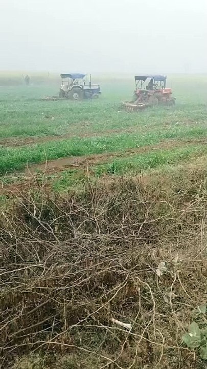भूमाफियाओं के खिलाफ प्रशासन की बड़ी कार्रवाई, 140 बीघा जमीन को अतिक्रमण से कराया मुक्त, गेहूं सरसों और आलू की खेती कर रहे थे माफिया