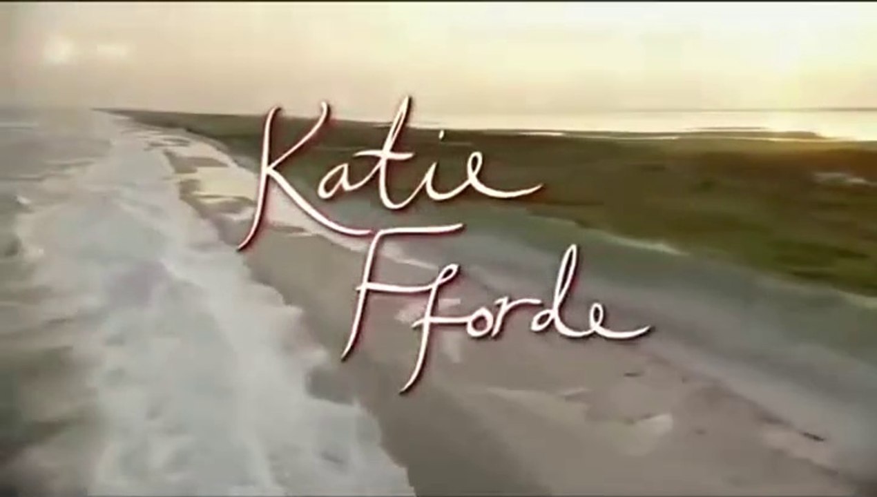 Katie Fforde -05- Zum Teufel mit David