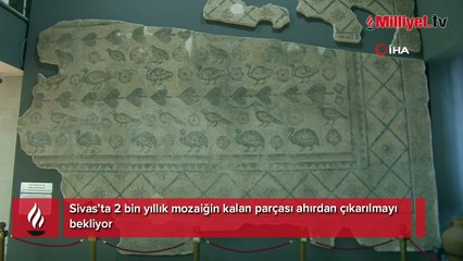 2 bin yıllık mozaiğin kalan parçası ahırdan çıkarılmayı bekliyor