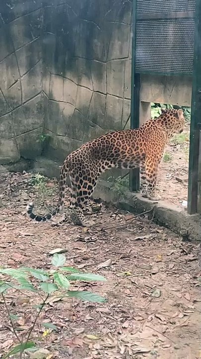 Tình yêu bắt đầu và kết thúc từ đây