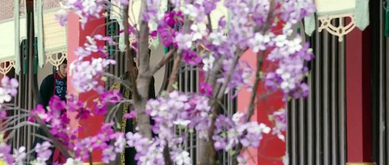 MỘ VƯƠNG CHI VƯƠNG - TẬP 19 - (Thuyết minh)