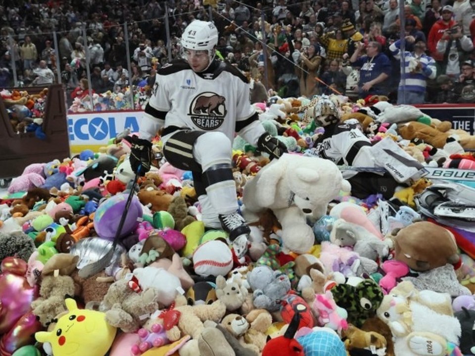 'Süßes Kuschel-Chaos': Eishockey-Team stellt neuen Teddy-Rekord auf