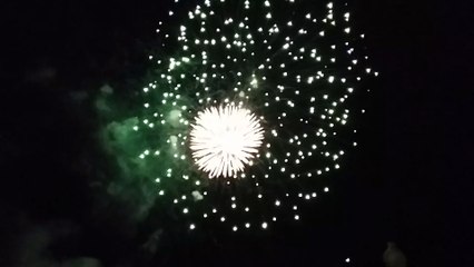 Fireworks light up the night sky