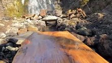 Cooking Fresh River Fish by the Riverside! Nature’s Flavors 🌊🐟