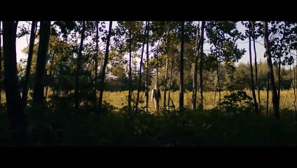 Les facéties de la fée Morgane en Brocéliande