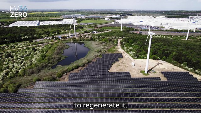 Nissan engineers create 'thriving' new wildlife habitat at manufacturing plant with deer and birds of prey spotted