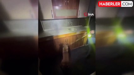 Aydın'da Büyük Uyuşturucu Operasyonu: 7 Bin 980 Ecstasy Hap Ele Geçirildi