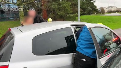 hungry-thieves--1302211