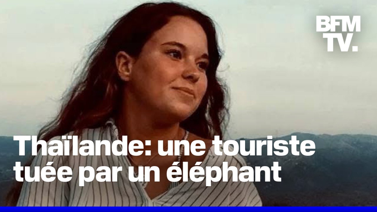 Une touriste espagnole tuée par un éléphant en Thaïlande