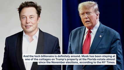 Melania Trump Is Happy With House Guest Elon Musk As 'A Babysitter For Donald'