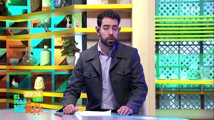 VIDEO: ¡Pudo ser una persona! Un can se electrocutó por un cable suelto en la zona sur