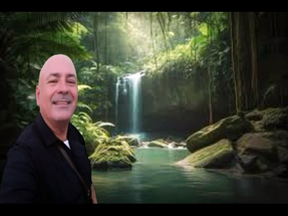 vida flui