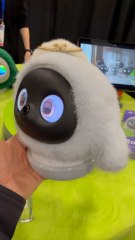 Ces peluches connectées sont très étranges
