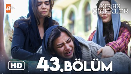 Kırgın Çiçekler 43. Bölüm | HD