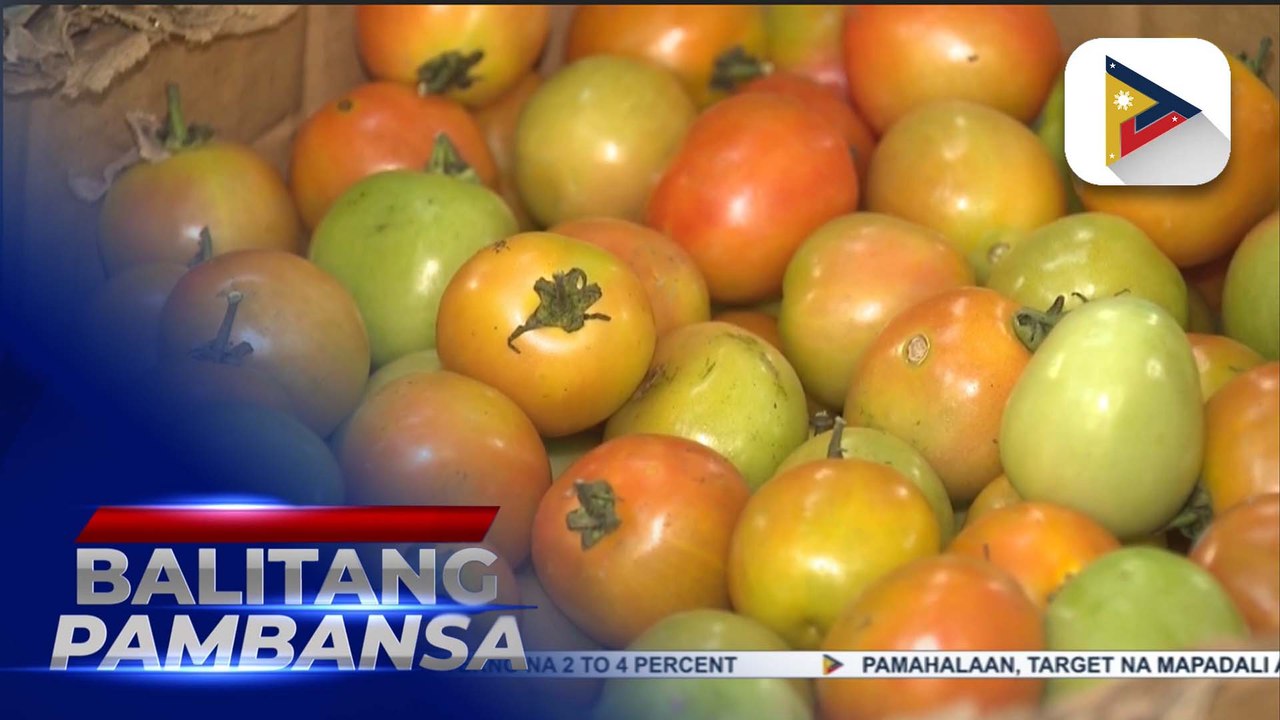 Pagtaas ng presyo ng kamatis, mapipigilan na sa pagtatapos ng Enero