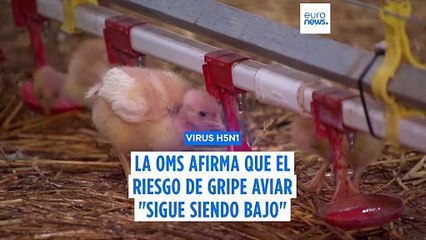Mensaje tranquilizador de la OMS tras conocerse una muerte humana por gripe aviar en EE.UU.