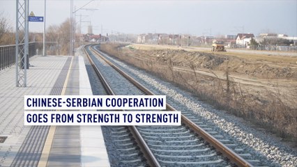 Chinese-Serbian cooperation goes from strength to strength