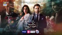 Aye Ishq e Junoon Episode 19 Teaser 7th January 2025 - Ushna Shah _ Sheheryar Munawar _ ARY Digital