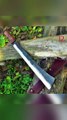 Knives Fit for a King: Royal-Grade Hunting Blades. Avail all 30 product links mentioned in description