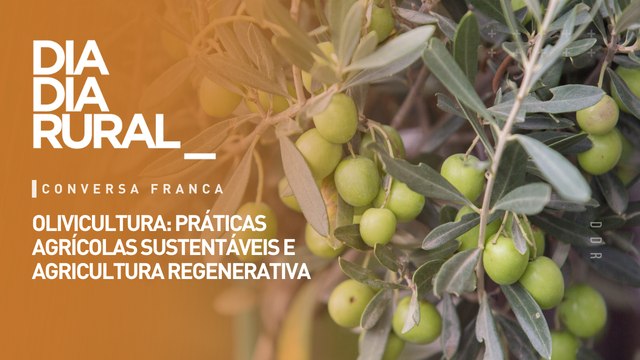 Olivicultura: práticas agrícolas sustentáveis e agricultura regenerativa