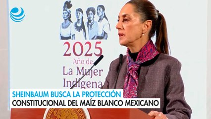 Sheinbaum busca la protección constitucional del maíz blanco mexicano