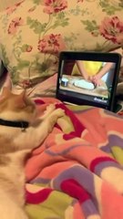 Let's bake a cake for Sen 🥰