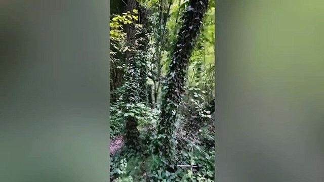 Rosario Fichera, a piedi dalla Paganella all'Etna per festeggiare la pensione: ?Ho visto un?Italia di gente meravigliosa?