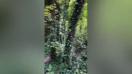 Rosario Fichera, a piedi dalla Paganella all'Etna per festeggiare la pensione: ?Ho visto un?Italia di gente meravigliosa?