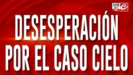 Desesperación por el caso Cielo: se le arrancaron de los brazos de su madre