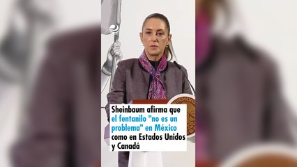 Sheinbaum afirma que el fentanilo "no es un problema" en México como en Estados Unidos y Canadá