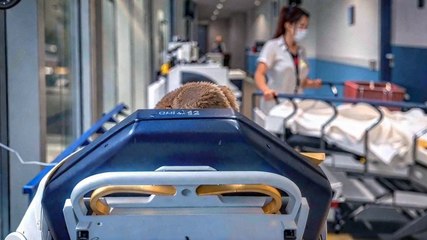 Grippe Épidémique : Une Vingtaine d'Hôpitaux Déclenchent le Plan Blanc