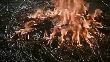 L'affaire des poisons (1955) - Bande annonce