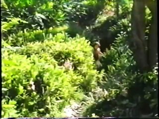 The Jungle Book : Mowgli's Story (1998) - Bande annonce