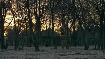 Botswana _ La Marche des Éléphants