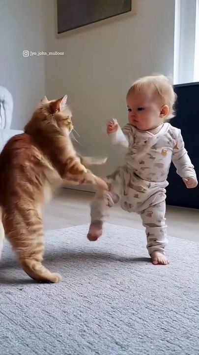 Will the diaper dynamo outmaneuver the cat_s claws of fury_ or is this the ultimate showdown for Tiny Titan_ 😱💥__Stay tuned for more action-packed battles as our little legend takes on the a(