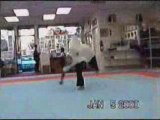 Martial Arts - Capoeira & Taekwondo