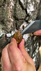 Crafting stunning jewelry inspired by nature!