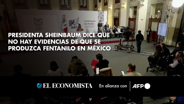 Presidenta Sheinbaum dice que no hay evidencias de que se produzca fentanilo en México