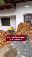 Carregamento de R$ 8 milhões em maconha e cocaína é apreendido pela PM